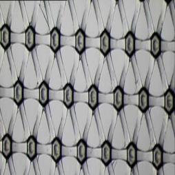 CB15 polyethylene (HDPE) net 