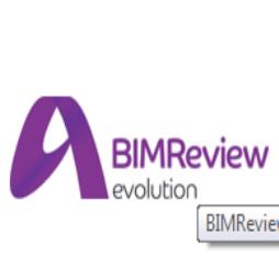 BIMReview Software