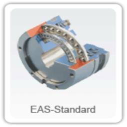 EAS-standard