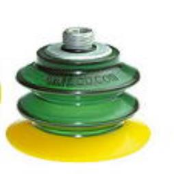 Multibellow Suction Cups