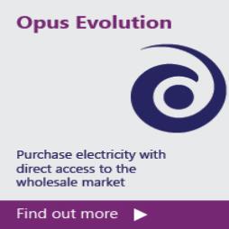 Opus Evolution
