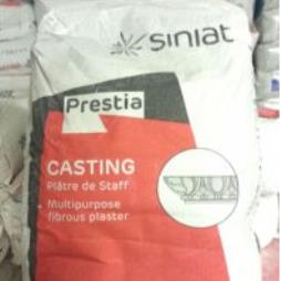 Prestia Casting Plaster 