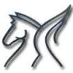 Hydraulic pumps and Packaging machinery Components