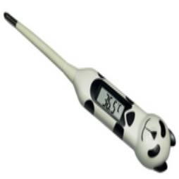MSR 10 Second Digital Animal Thermometers, Panda 
