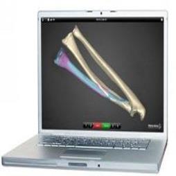 Surgical Solutions for Orthopaedics Surgeons