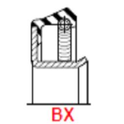 BX Rotary Seal