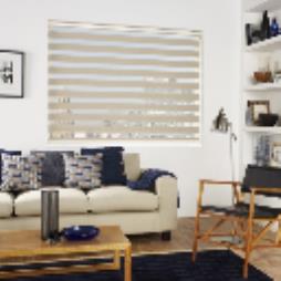 Vision Blinds 