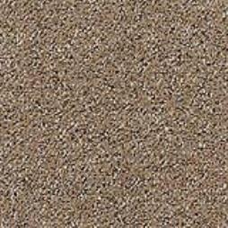 Commercial Carpet