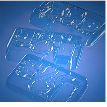Thermoformed Plastic Packaging 