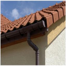 Guttering and Pointing