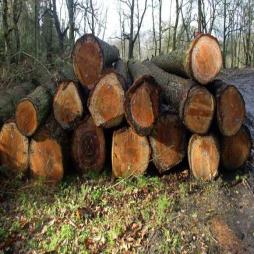 Round Timber Stockists and Suppliers