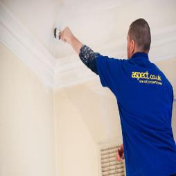 London Painter and Decorator