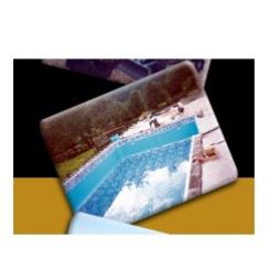 Swimming Pool Construction