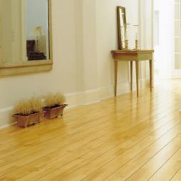 Beech Wood Flooring Surrey