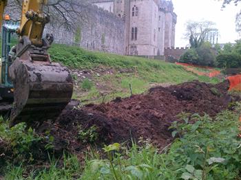 Japanese Knotweed Excavation Works Cardiff Castle
