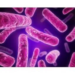 Antimicrobial Bio-Sure™ Coating 