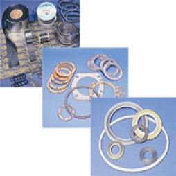 Spiral Wound Gasket Fittings