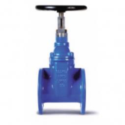 Ductile Iron Resilient Seated Gate Valve