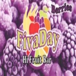 FivaDay Berries Hi Fruit Bar
