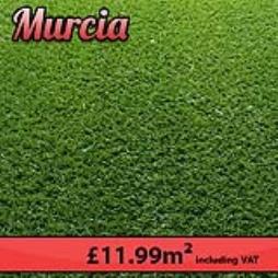 Murcia Astro turf