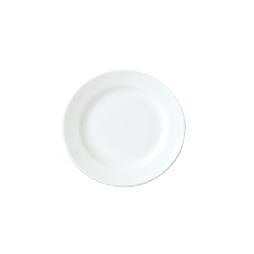 10" Dinner Plate