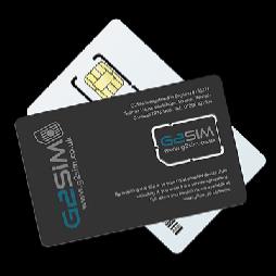 G2SIM Standard Sim Card