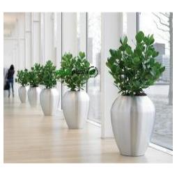 Interior and exterior plants for offices.