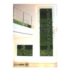 Living Walls for hotels, restaurants and shopping malls