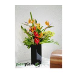 Corporate flowers from Plant Plan