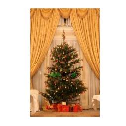 Christmas trees and garlands at Plant Plan