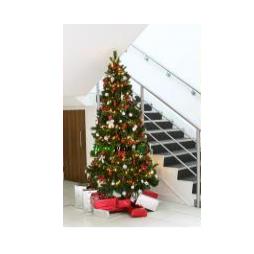 Christmas tree collection services in Leicestershire 