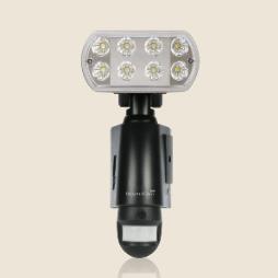 GUARDCAM LED - Combined Security LED Floorlight. East Sussex