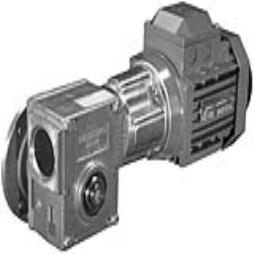 Compact Worm Gear Series BS