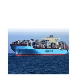 Sea Freight Container Shipping