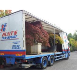 Horticultural Deliveries and Movements