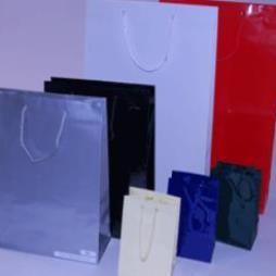 Luxury Rope Handled Gloss Paper Gift Bags Adderbury