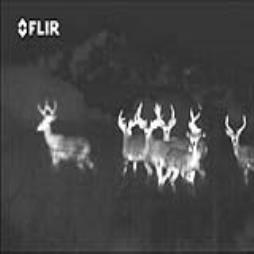 Outdoor / Wildlife / Hunting - Thermal Cameras