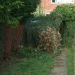 Garden Clearance Services Cheshire