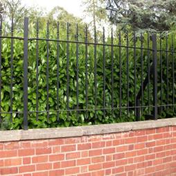 Short Wall Fences