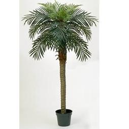 Artificial Phoenix Palm Tree