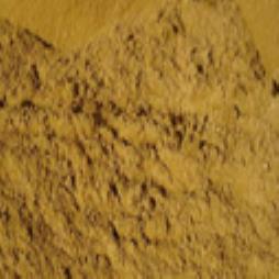 Building Sand Guildford Surrey