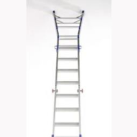 Professional 3 in 1 Ladders