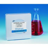 GE Healthcare Membrane Circles Cellulose Nitrate 7191-005 - Membrane Filters