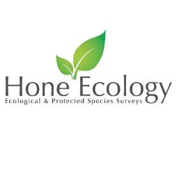 Phase 1 Habitat Mapping & Protected Species Survey