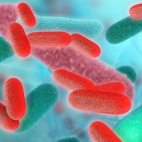 Bacteriological and Legionella analysis