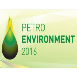 Petroleum and Petrochemical Industry International Conference 