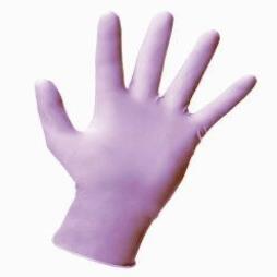 Priemer Shermon Powder Free Nitrile Gloves (100)