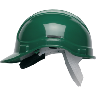 Protector 300 Elite Helmet Green
