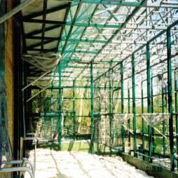 Steelwork Maintenance & Painting Services