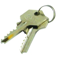 Asec Padlock Master Key